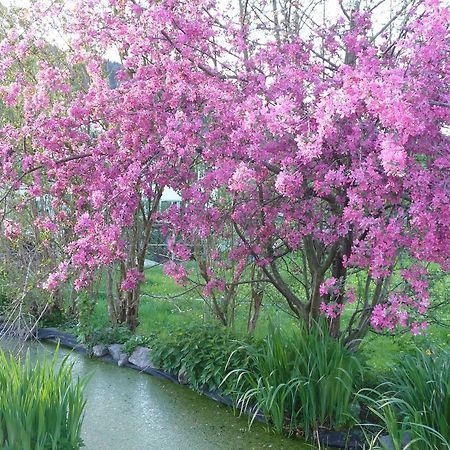Gastehaus Zum Tulpenbaum Panzió Turbenthal Kültér fotó
