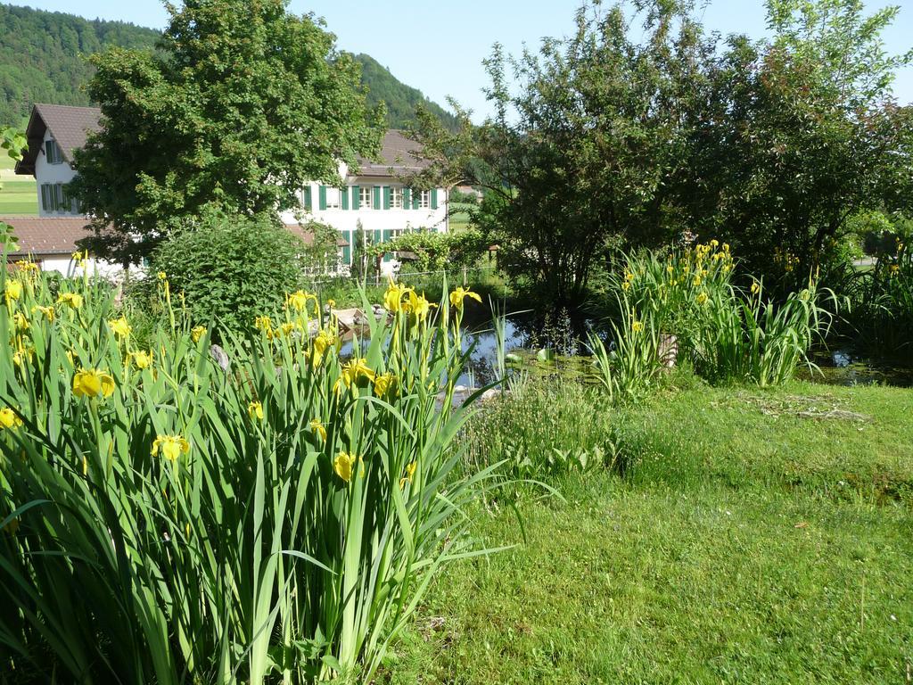 Gastehaus Zum Tulpenbaum Panzió Turbenthal Kültér fotó