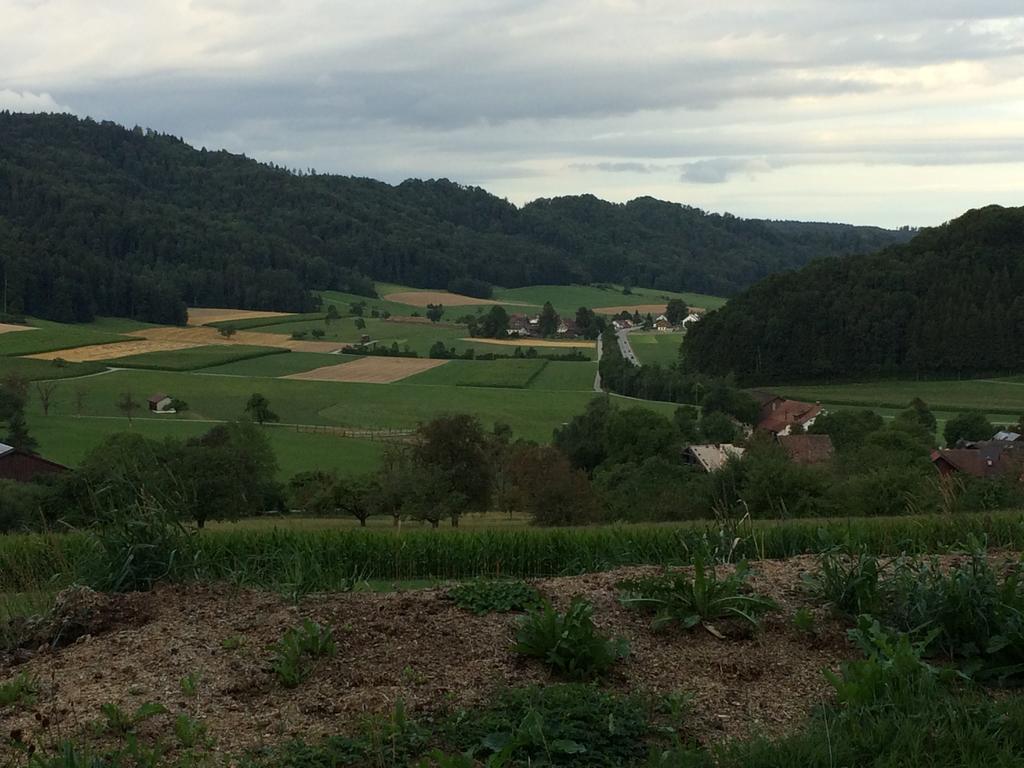Gastehaus Zum Tulpenbaum Panzió Turbenthal Kültér fotó